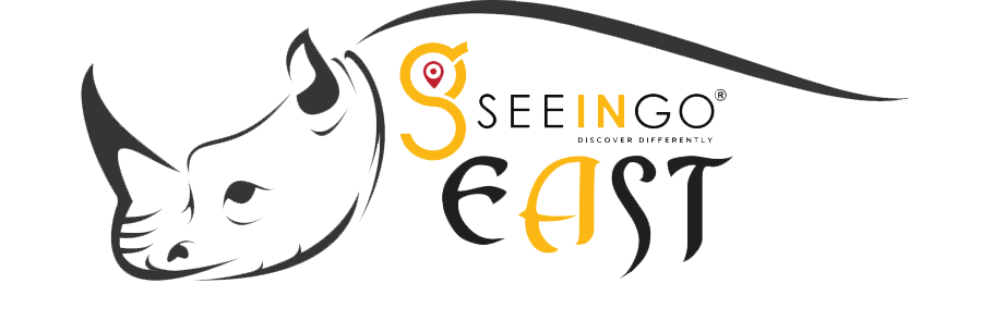 Seeingo Logo